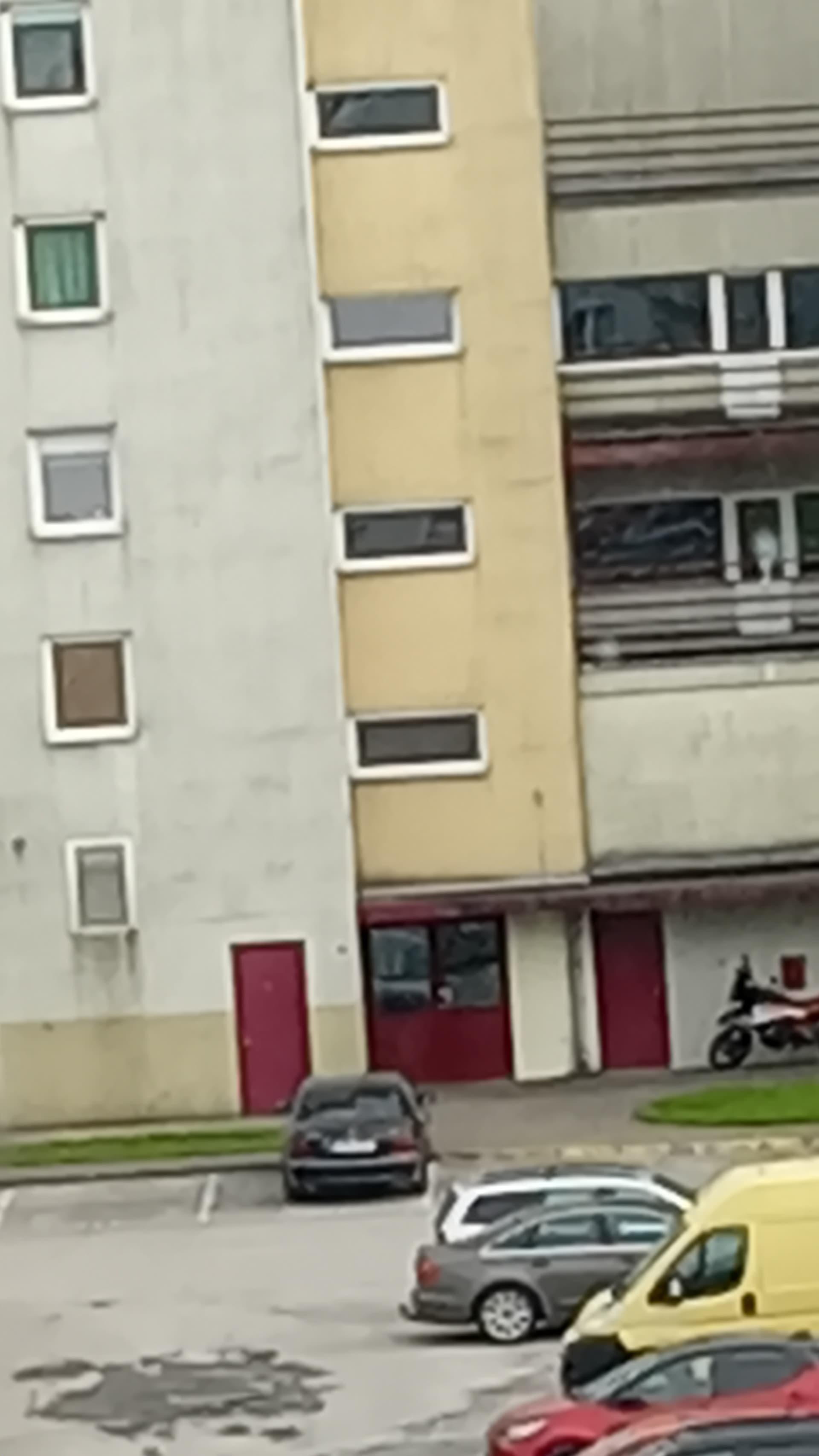 Ausgangsbild